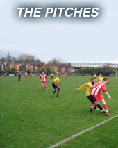 The Pitches