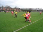 Grass Pitches
